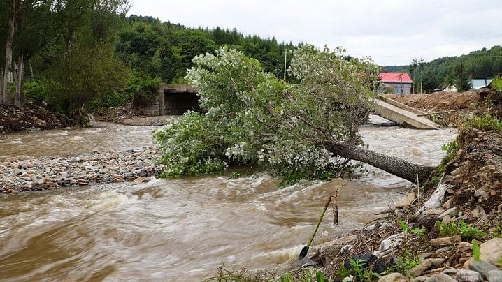 <div class="paragraphs"><p>Due to flooding of the Surya river in Palghar, a bridge in Manor was submerged and the movement between Wada and Manor remained affected. (Representative Image)</p></div>