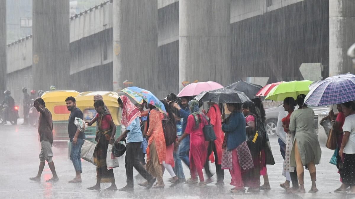 <div class="paragraphs"><p>Thundershowers in Sarjapura road in Bengaluru.</p></div>