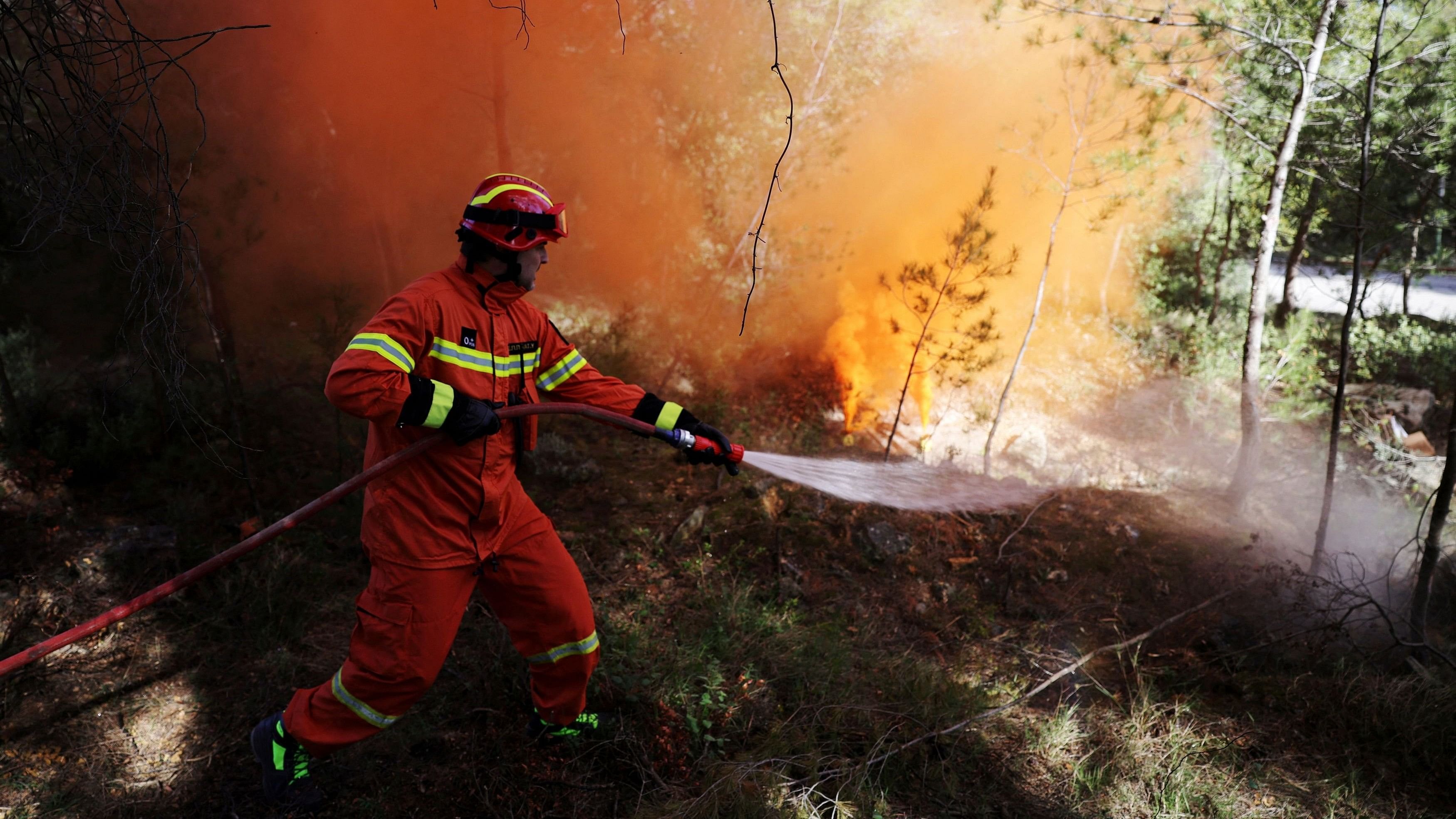 <div class="paragraphs"><p>A firefighter sprays water on smoke grenades during a disaster risk training exercise to effectively deal with wildfires, in Athens, Greece, April 4, 2024. </p></div>