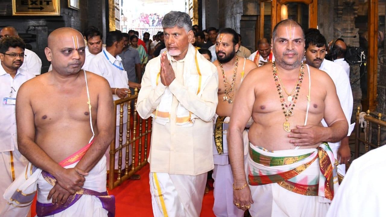 <div class="paragraphs"><p>N Chandrababu Naidu in Tirupati.</p></div>