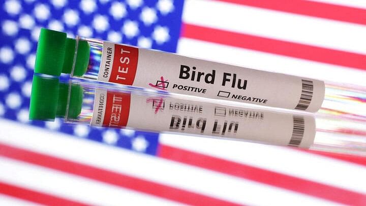 <div class="paragraphs"><p>Test tubes is seen labelled "Bird Flu" words in front of U.S. flag in this illustration taken, June 10, 2024.</p></div>