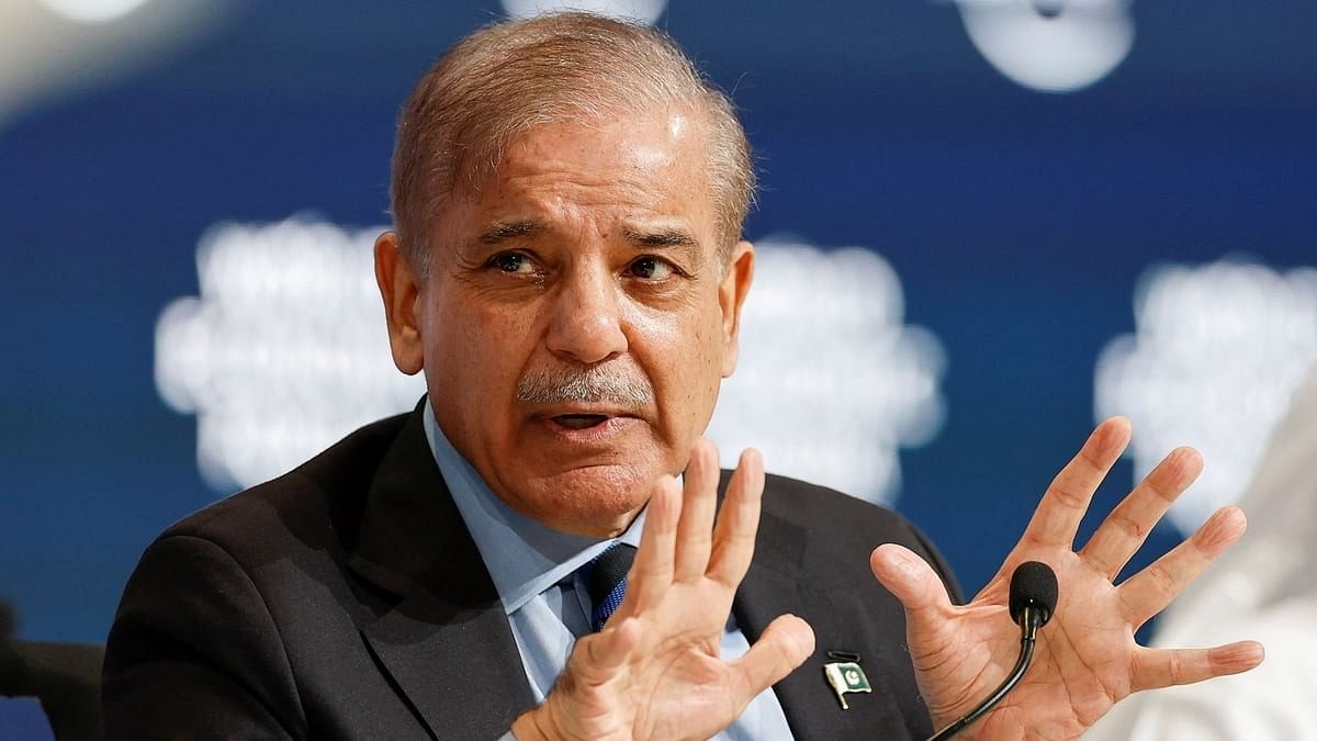 <div class="paragraphs"><p>Pakistan's Prime Minister Shehbaz Sharif</p></div>