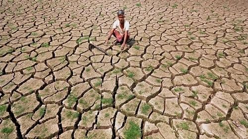 <div class="paragraphs"><p>Representative image showing a farmer in a drought hit barren land.</p></div>