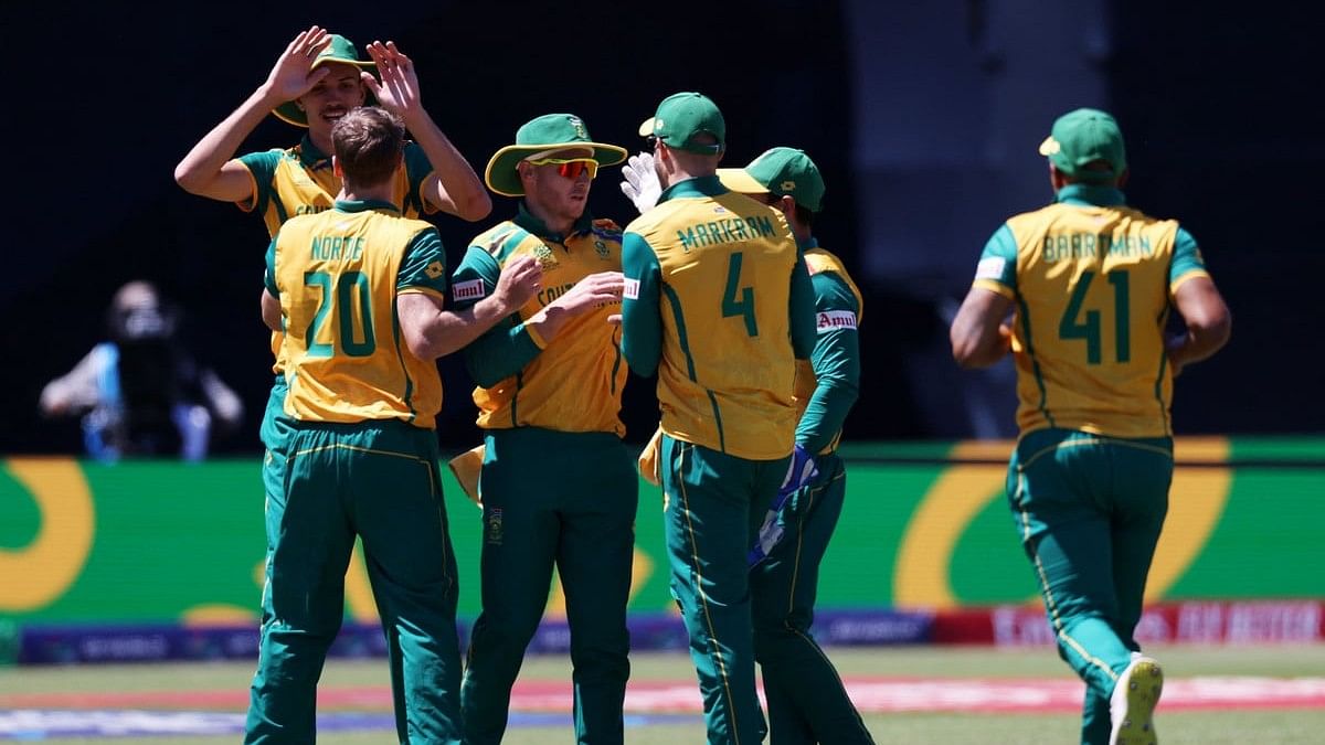 <div class="paragraphs"><p>South Africa's David Miller celebrates with teammates after taking the wicket of Netherlands' Bas de Leede.</p></div>