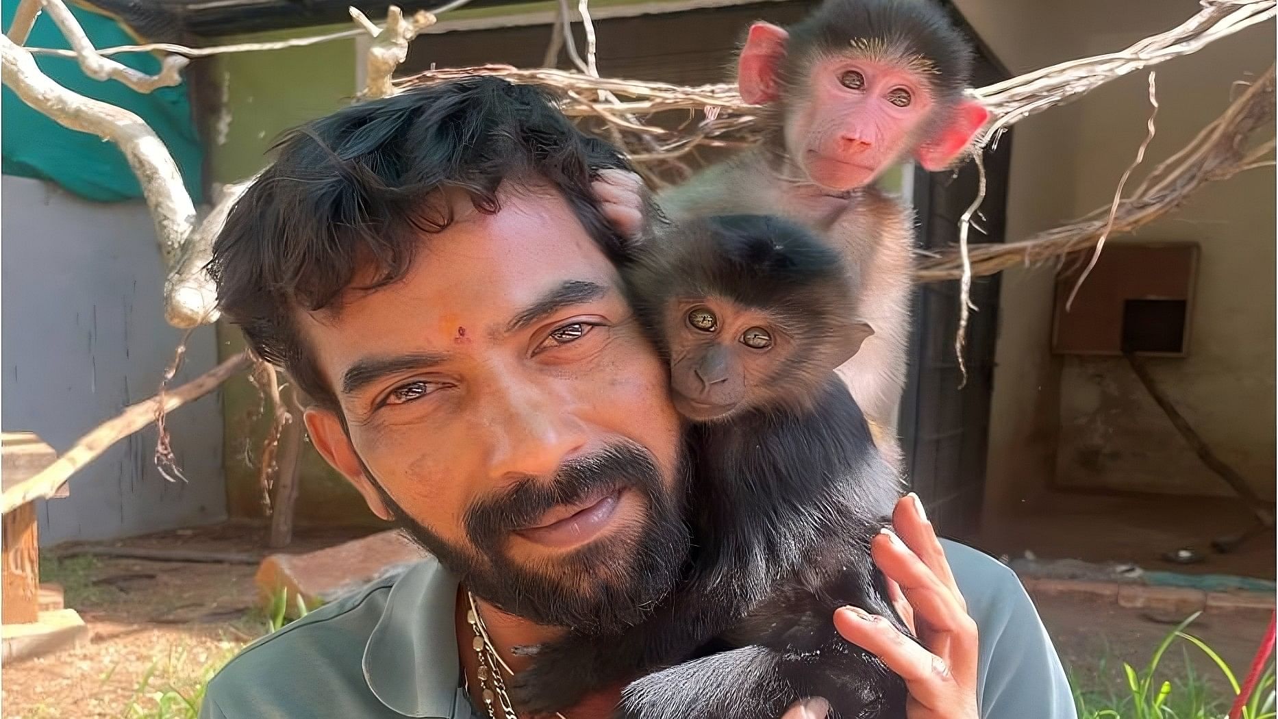 <div class="paragraphs"><p>Somashekhar holds the LTM infant he nurtured in the Chamarajendra Zoological Gardens, Mysuru. </p></div>