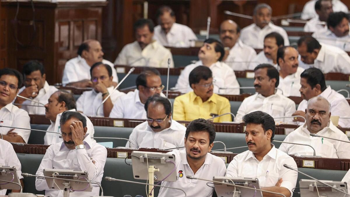 <div class="paragraphs"><p>Tamil Nadu Minister Udhayanidhi Stalin with others in the Legislative Assembly. (Representative image)</p></div>