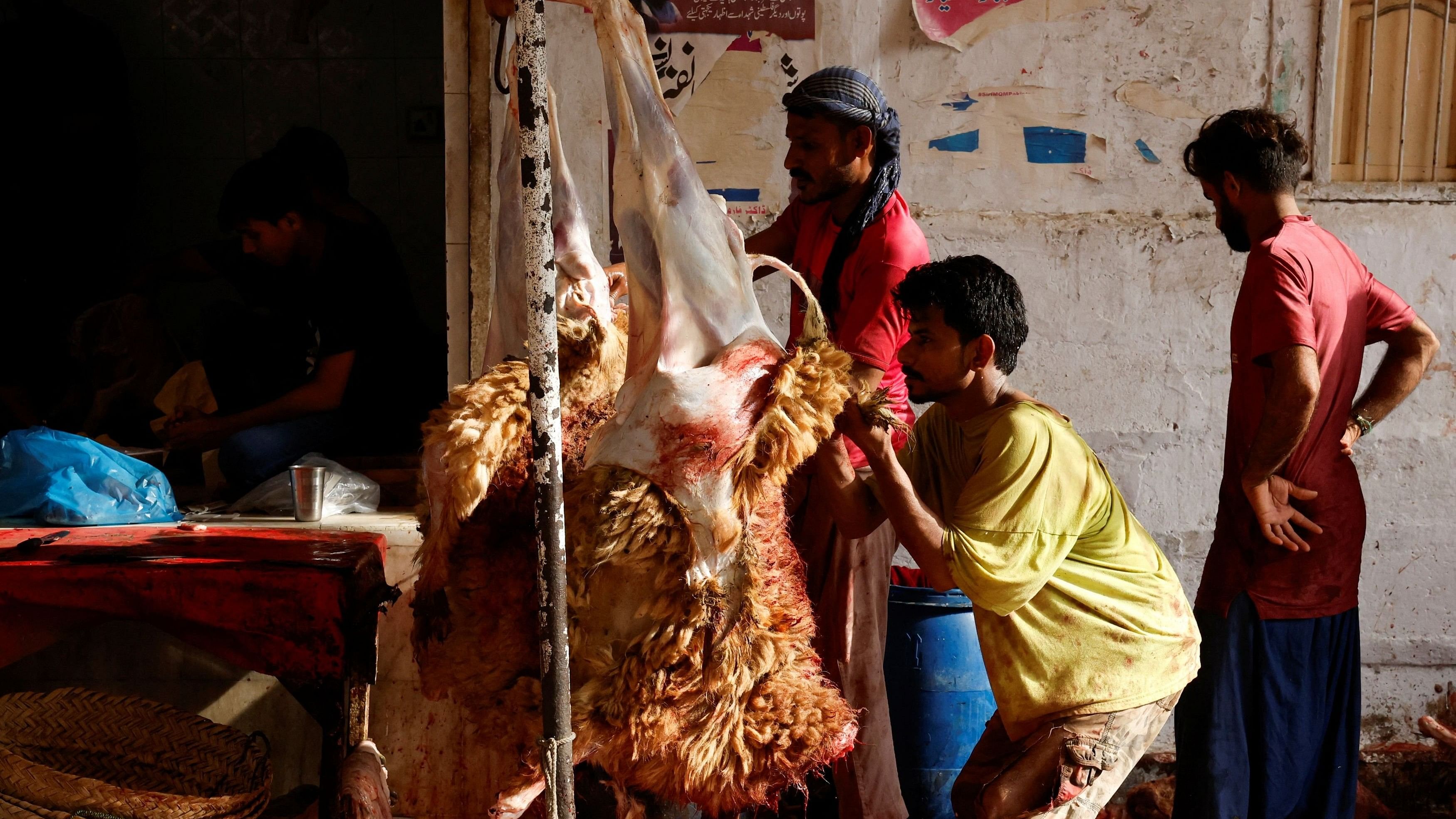 <div class="paragraphs"><p>Men skin sacrificial animals after they were slaughtered during Eid al-Adha celebrations in Karachi, Pakistan June 17, 2024. </p></div>