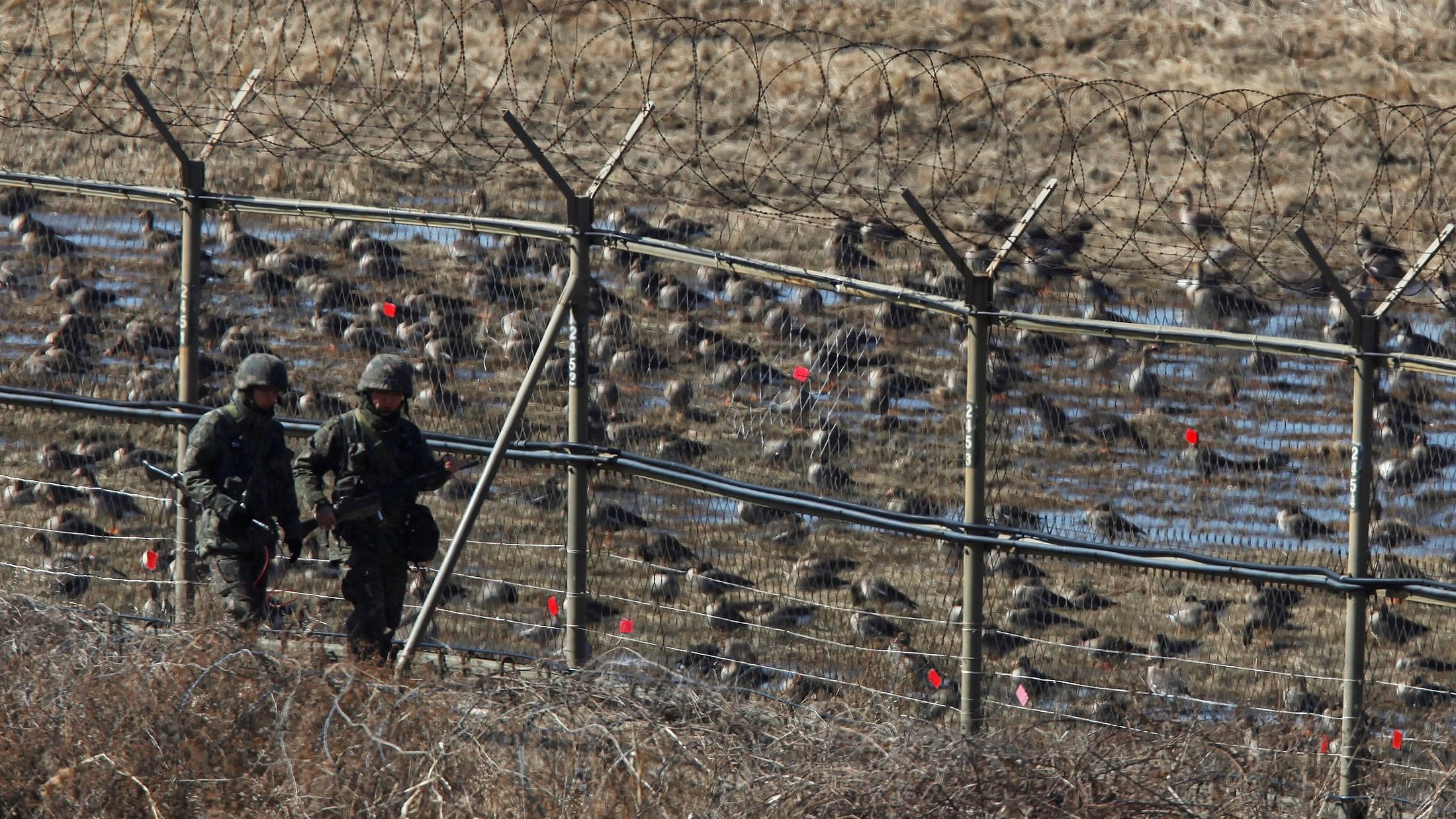 <div class="paragraphs"><p>South Korean soldiers walk past birds as they patrol along a barbed-wire fence near the demilitarized zone in Paju.</p></div>