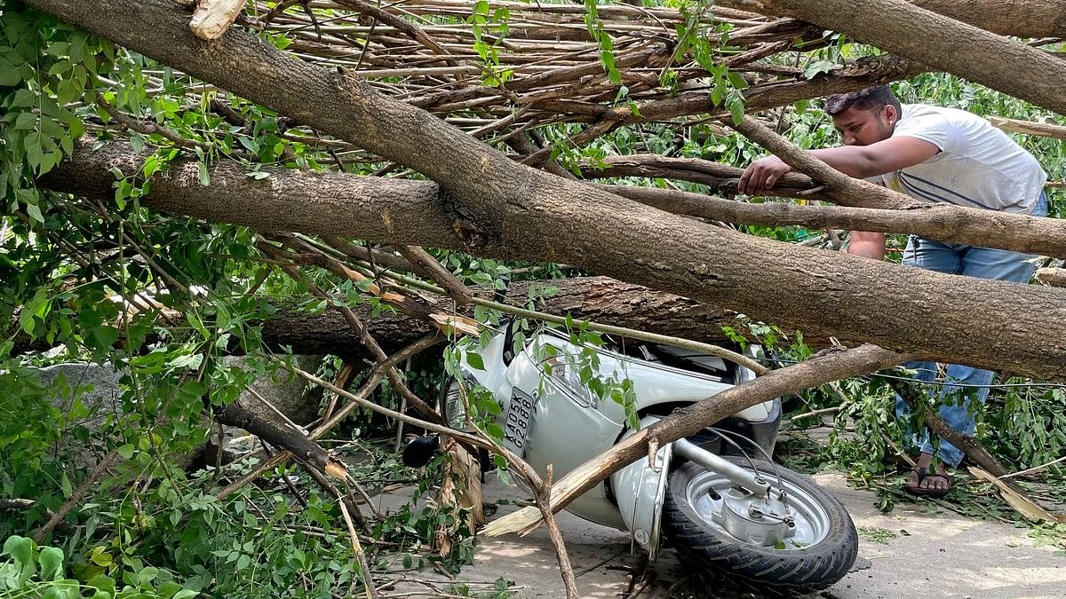 <div class="paragraphs"><p>A man tries to remove his two-wheeler from under a tree that fell due to heavy rains, in front of Gurudas Park in Kadirenahalli on Monday. </p></div>