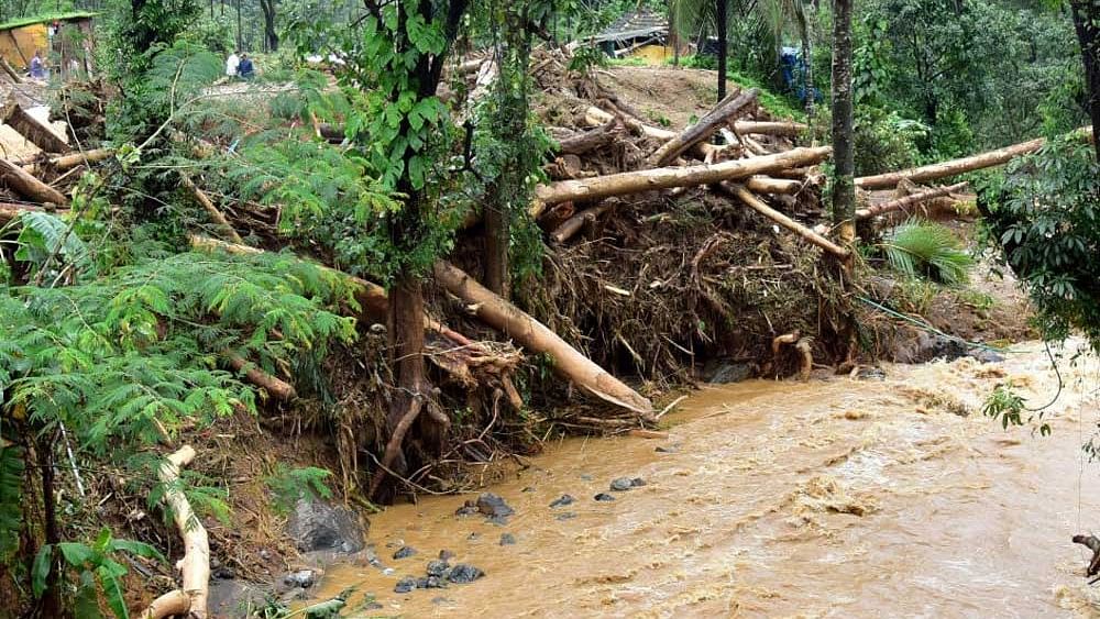 <div class="paragraphs"><p>Representative image showing uprooted trees during heavy rains in Kerala.</p></div>