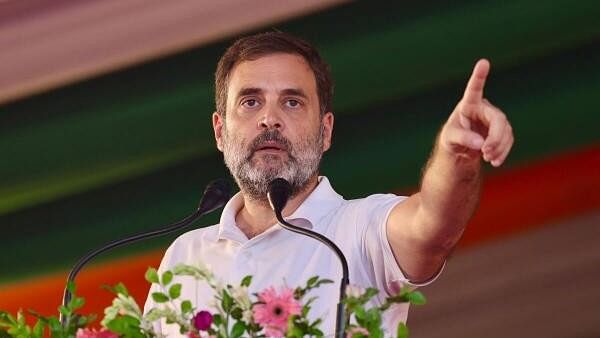 <div class="paragraphs"><p>Congress MP Rahul Gandhi.</p></div>