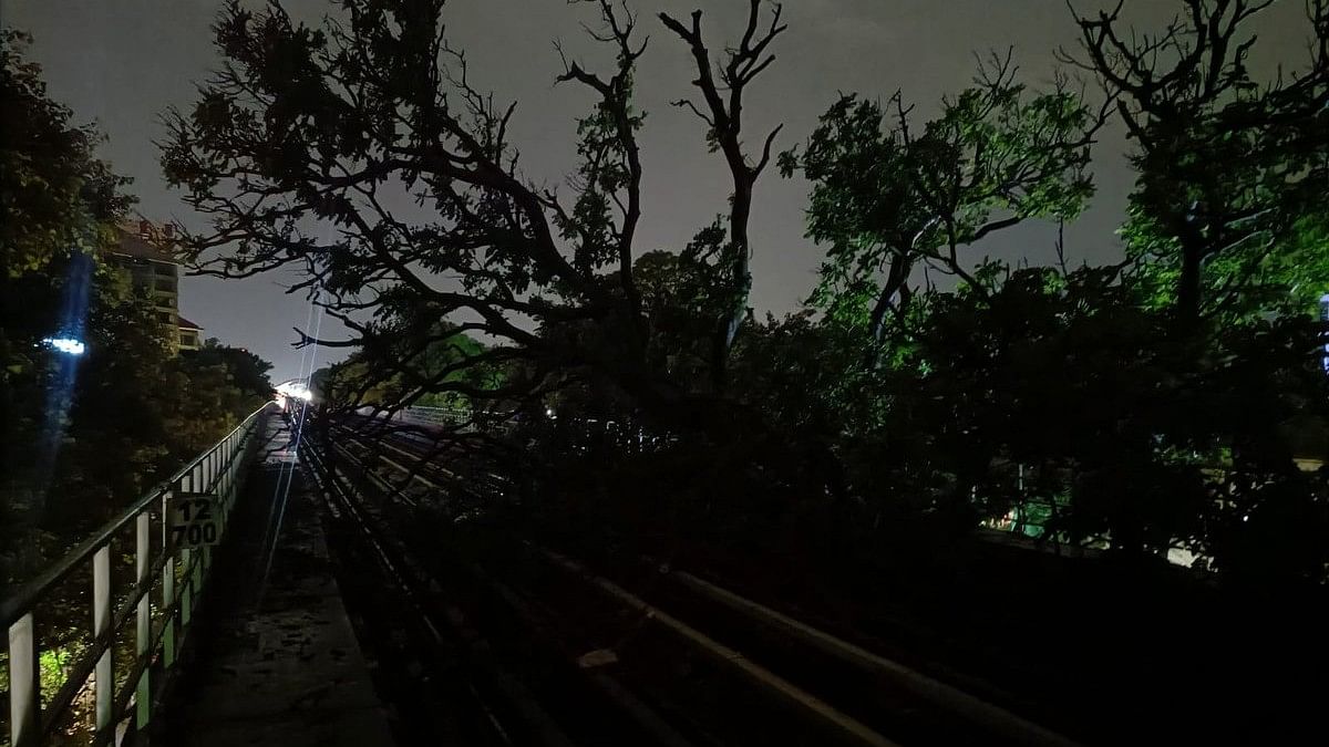 <div class="paragraphs"><p>A large tree has fallen on the metro tracks between MG Road and Trinity Circle stations. </p></div>