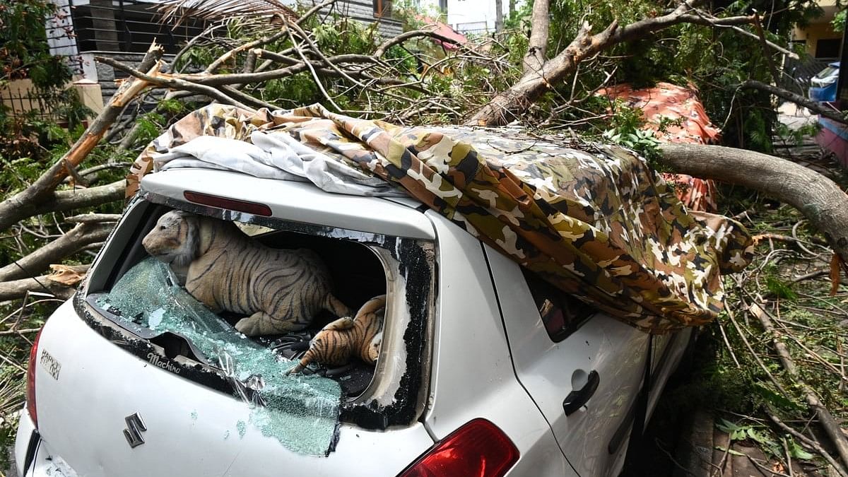 <div class="paragraphs"><p>Cars damaged in tree fall at&nbsp;Basaveshwar Nagar following a heavy downpour on Sunday.  </p></div>