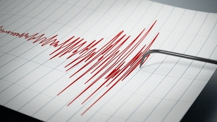 <div class="paragraphs"><p>Representative image of a seismograph during an earthquake.</p></div>