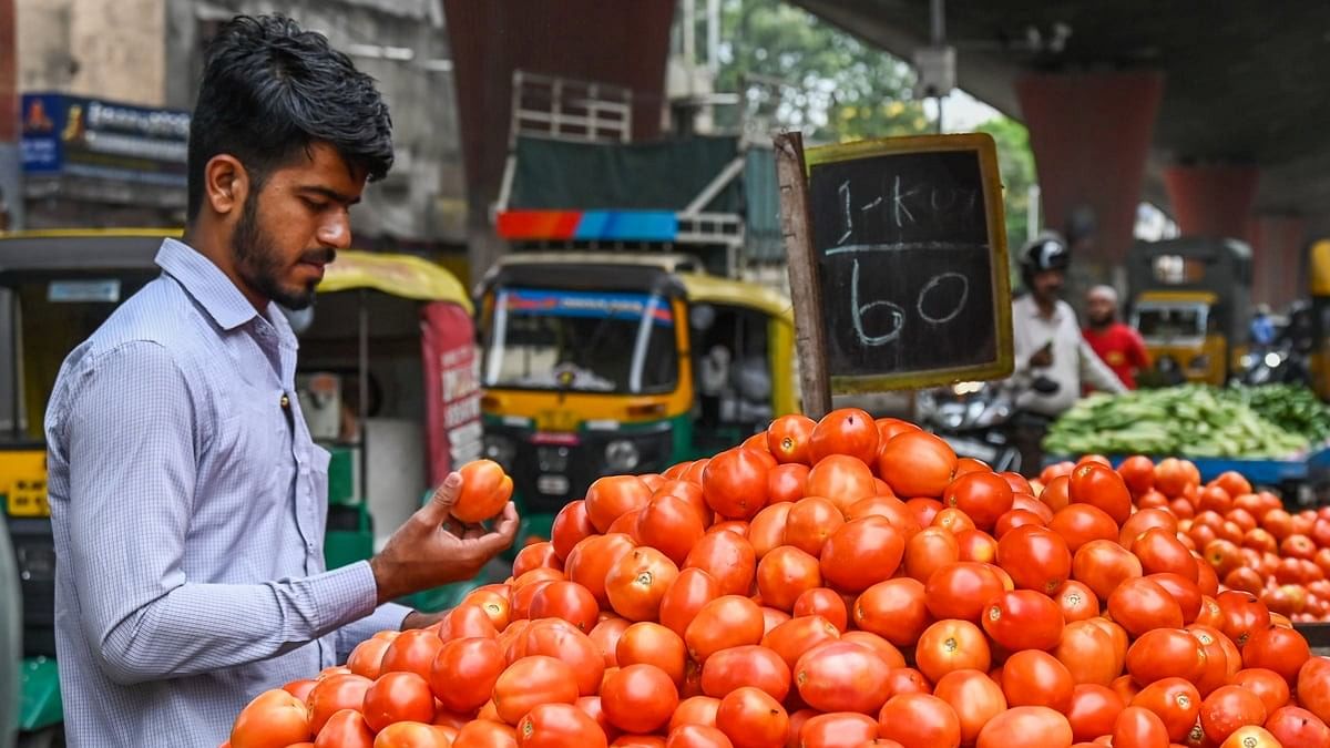 <div class="paragraphs"><p>Tomatoes, which used to be sold at around 40 a kg in May, now cost between Rs 60 and 80 a kg. </p></div>