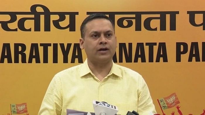 <div class="paragraphs"><p>BJP's Amit Malviya. </p></div>