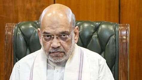 <div class="paragraphs"><p>Union Home Minister Amit Shah.</p></div>