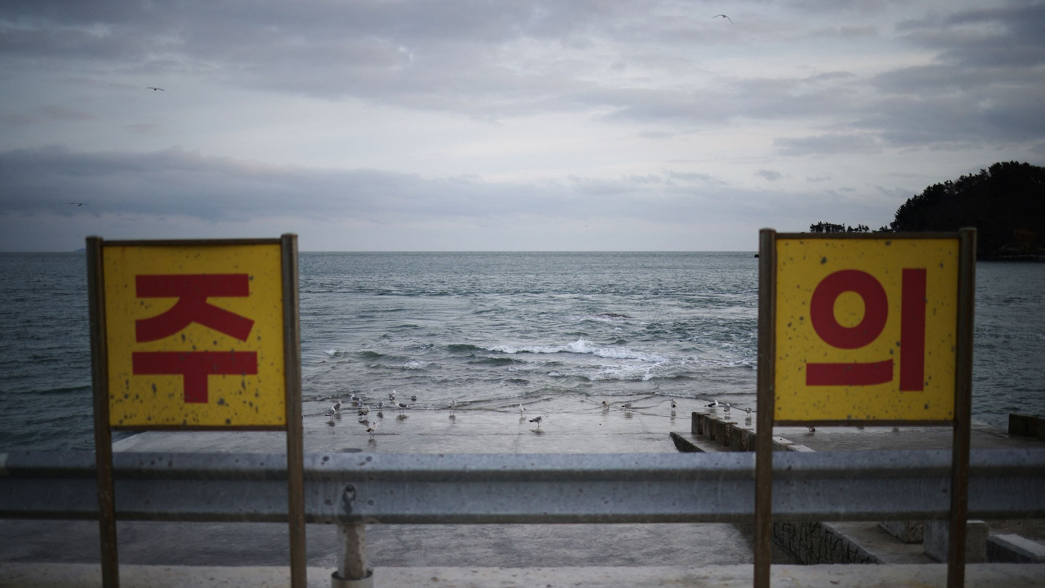 <div class="paragraphs"><p>A view shows caution signs on Yeonpyeong Island, South Korea.</p></div>