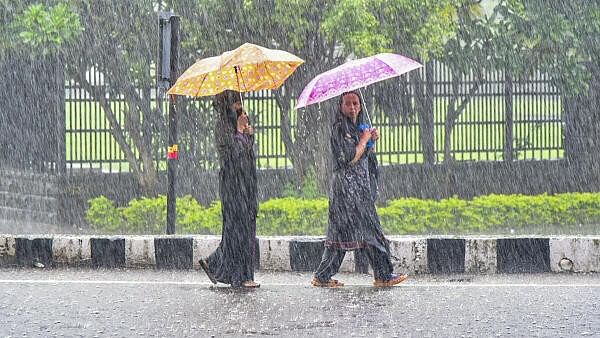 <div class="paragraphs"><p>Pedestrians on a road amid heavy monsoon rain, in Navi Mumbai, Saturday, July 13, 2024.</p></div>