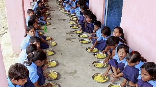 <div class="paragraphs"><p>A lizard was allegedly found in the breakfast served to students of a girls' hostel attached to a government school in Medak district of Telangana. For representation only</p></div>