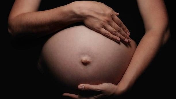 <div class="paragraphs"><p>Representative image of a pregnant woman.</p></div>