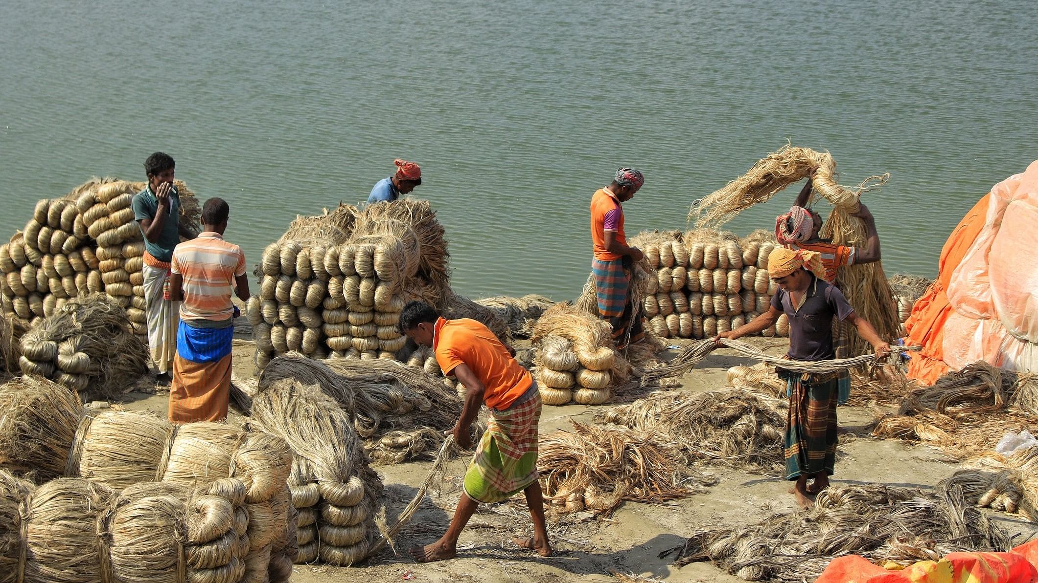 <div class="paragraphs"><p> Workers arranging for transportation of jute bundles. (Representative image)</p></div>