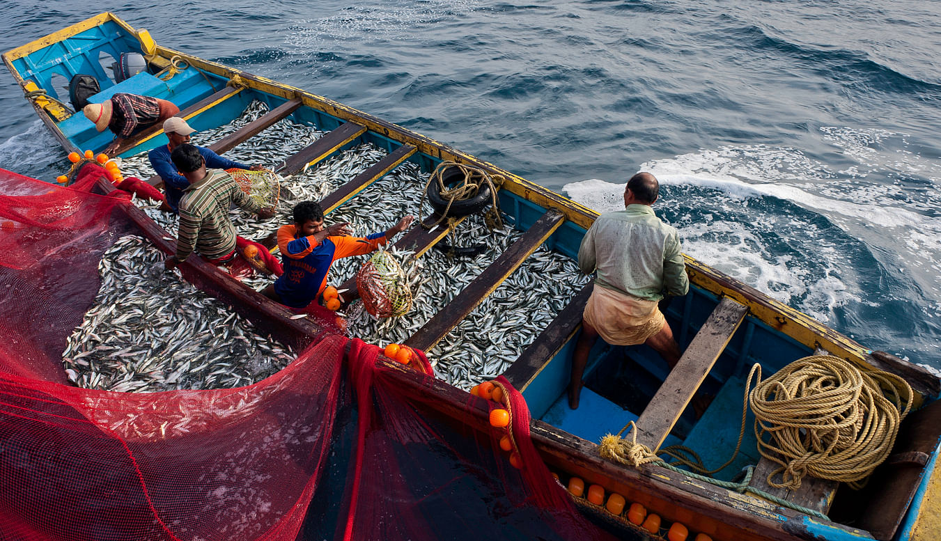 <div class="paragraphs"><p>representative image showing fishermen.</p></div>