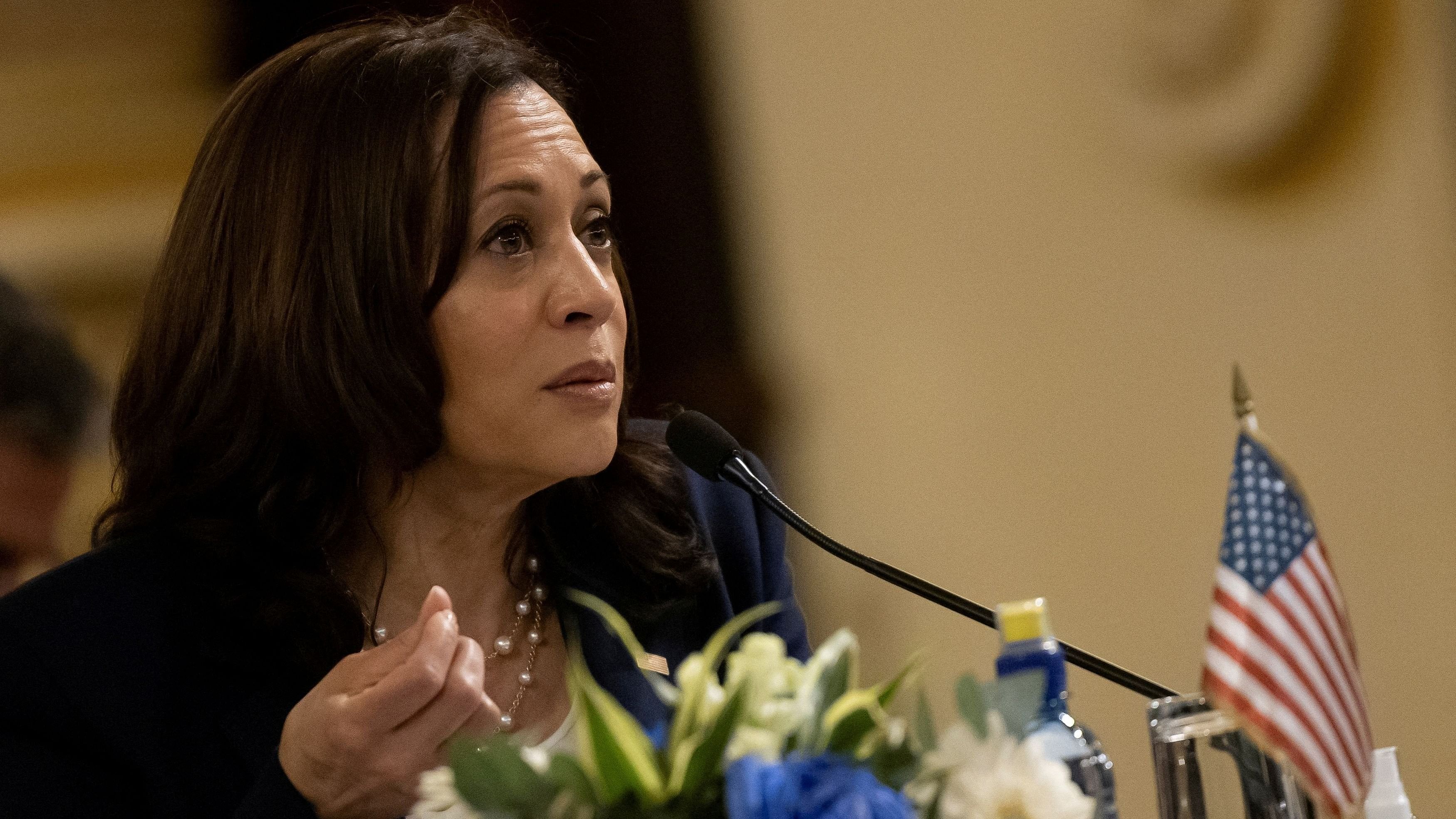 <div class="paragraphs"><p> US Vice President Kamala Harris </p></div>