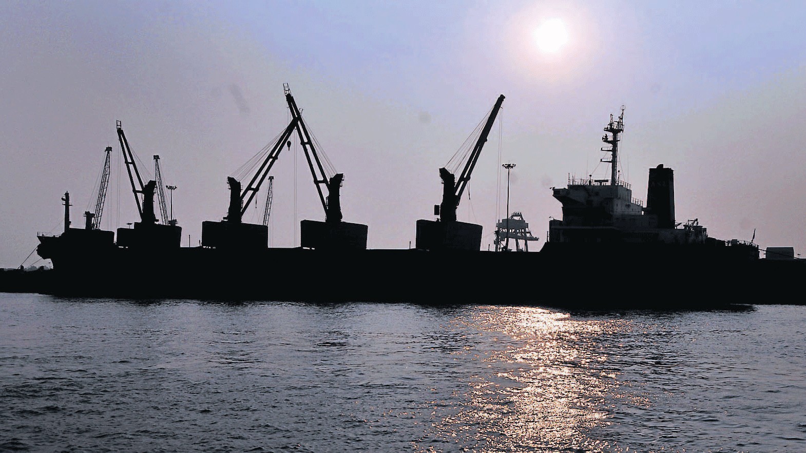 <div class="paragraphs"><p>The state government will resume 108 hectares of land from Adani Group's Adani Port and Special Economic Zone (APSEZ) in Mundra taluka of Kutch district and reserve it as gauchar or grazing land for the local villagers. Image for representational purpose only.</p></div>