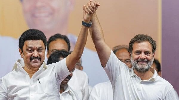 <div class="paragraphs"><p>Congress leader Rahul Gandhi (right) with DMK's M K Stalin</p></div>