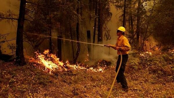 <div class="paragraphs"><p>A firefighter operates in Lyonsville, California, U.S., July 27, 2024.</p></div>