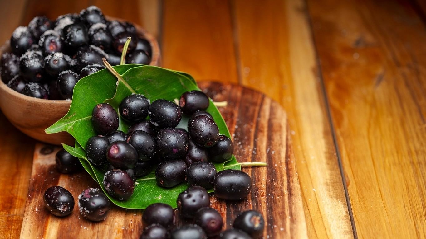 <div class="paragraphs"><p>'I realised why monkeys and squirrels would not touch this fruit, which was actually a doppelgänger of Jamun fruit'. (Representative image)</p></div>