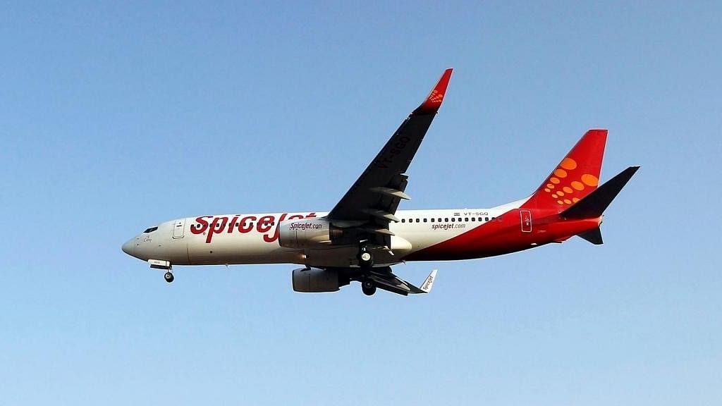 <div class="paragraphs"><p>Representative image of a SpiceJet aircraft.</p></div>