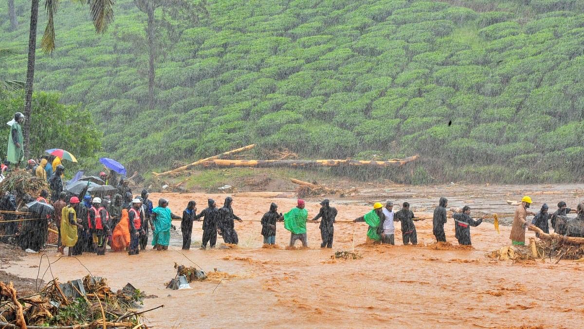 <div class="paragraphs"><p>Rescuers help people to cross a flooded area after a landslide caused by torrential monsoon rains in Meppadi in Wayanad district of Kerala</p></div>