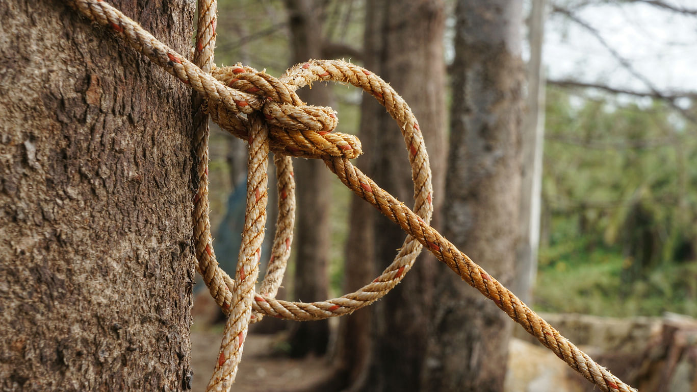 <div class="paragraphs"><p>An image showing a rope tied to a tree. (Representative Image)</p></div>