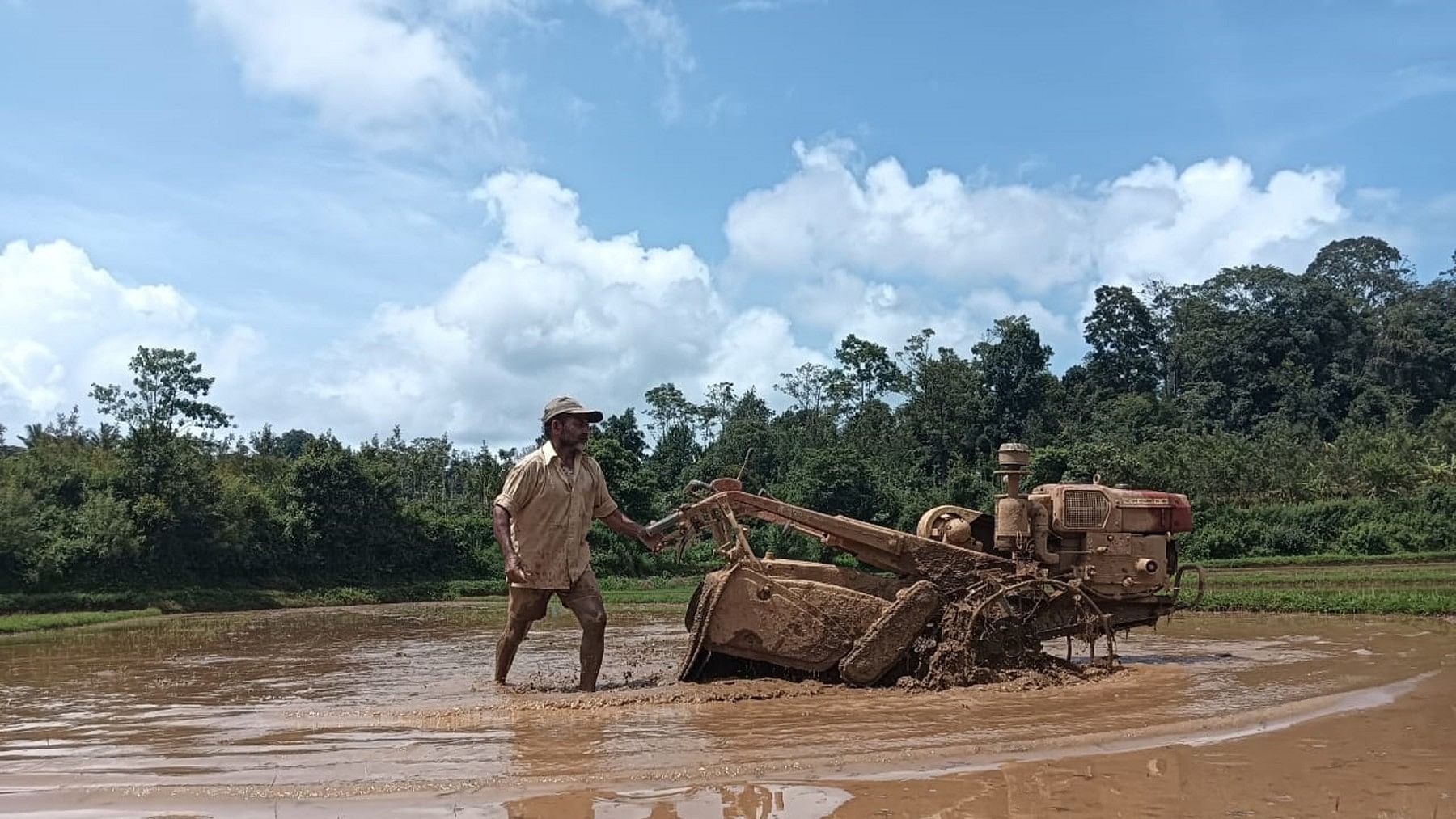 <div class="paragraphs"><p>A farmer was seen tilling the paddy field in Ballamavati village near Napoklu.</p></div>