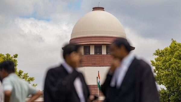 <div class="paragraphs"><p>Lawyers at the Supreme Court of India in New Delhi, Monday, July 8, 2024.</p></div>