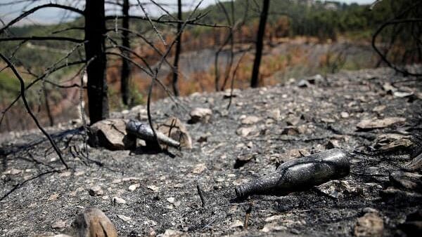 <div class="paragraphs"><p>A bottle lies near charred trees in the aftermath of forest fires caused by Hezbollah attacks from Lebanon, amid cross-border hostilities between Hezbollah and Israeli forces, in Israel.</p></div>