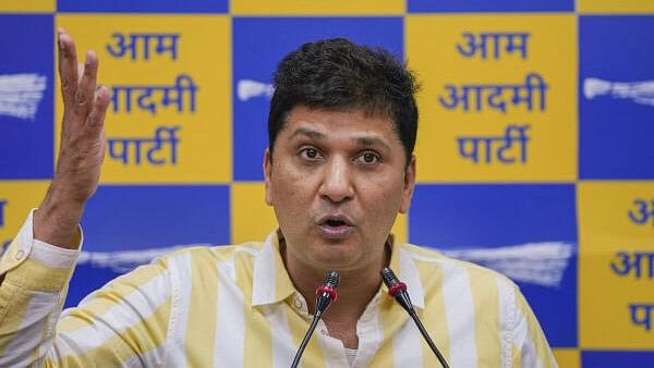 <div class="paragraphs"><p>Delhi minister Saurabh Bharadwaj.&nbsp;</p></div>