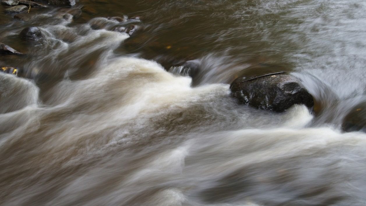 <div class="paragraphs"><p>Representative image showing a river in spate.</p></div>