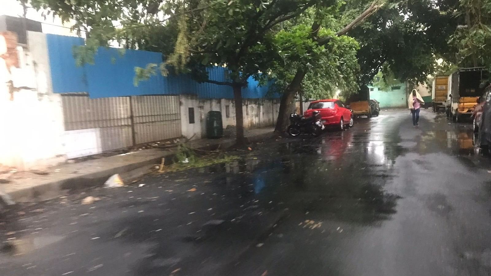 <div class="paragraphs"><p>A newly asphalted road near Ashoka Pillar in Jayanagar. </p></div>