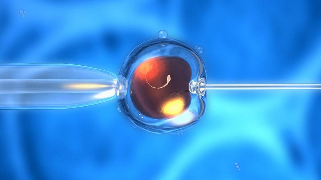 <div class="paragraphs"><p>Representative image of in vitro fertilisation (IVF).&nbsp;</p></div>