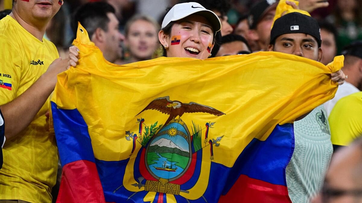 <div class="paragraphs"><p>An Ecuador fan celebrates after the game against Mexico at State Farm Stadium.</p></div>