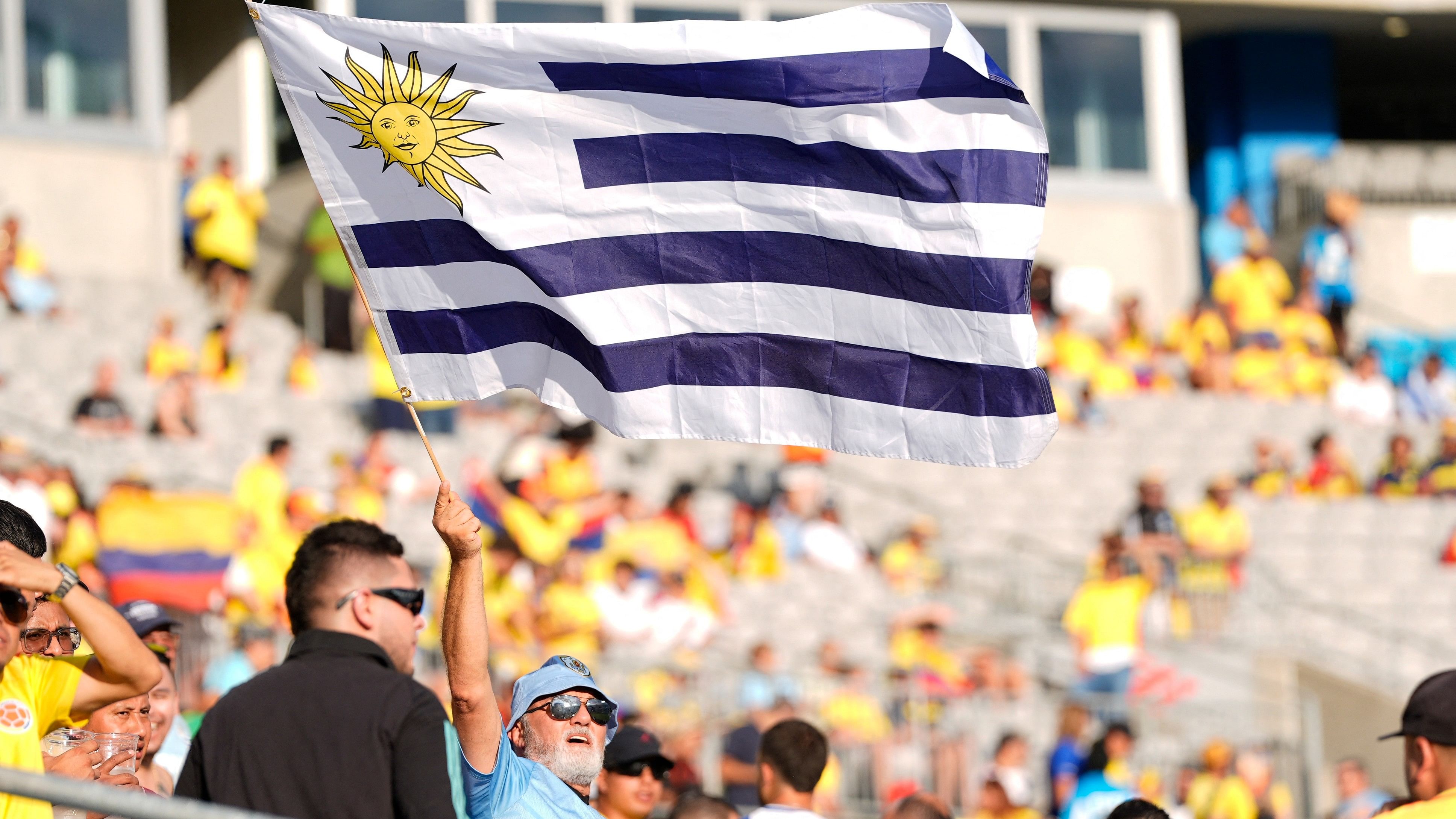 <div class="paragraphs"><p>Fans ahead of the Colombia vs Uruguay Copa America tie.</p></div>