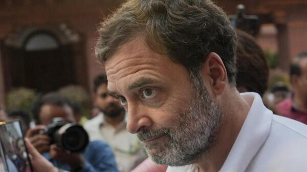 <div class="paragraphs"><p>Rahul Gandhi's now-expunged remarks on Hindus inthe Lok Sabha drew the ire of the outfit</p></div>