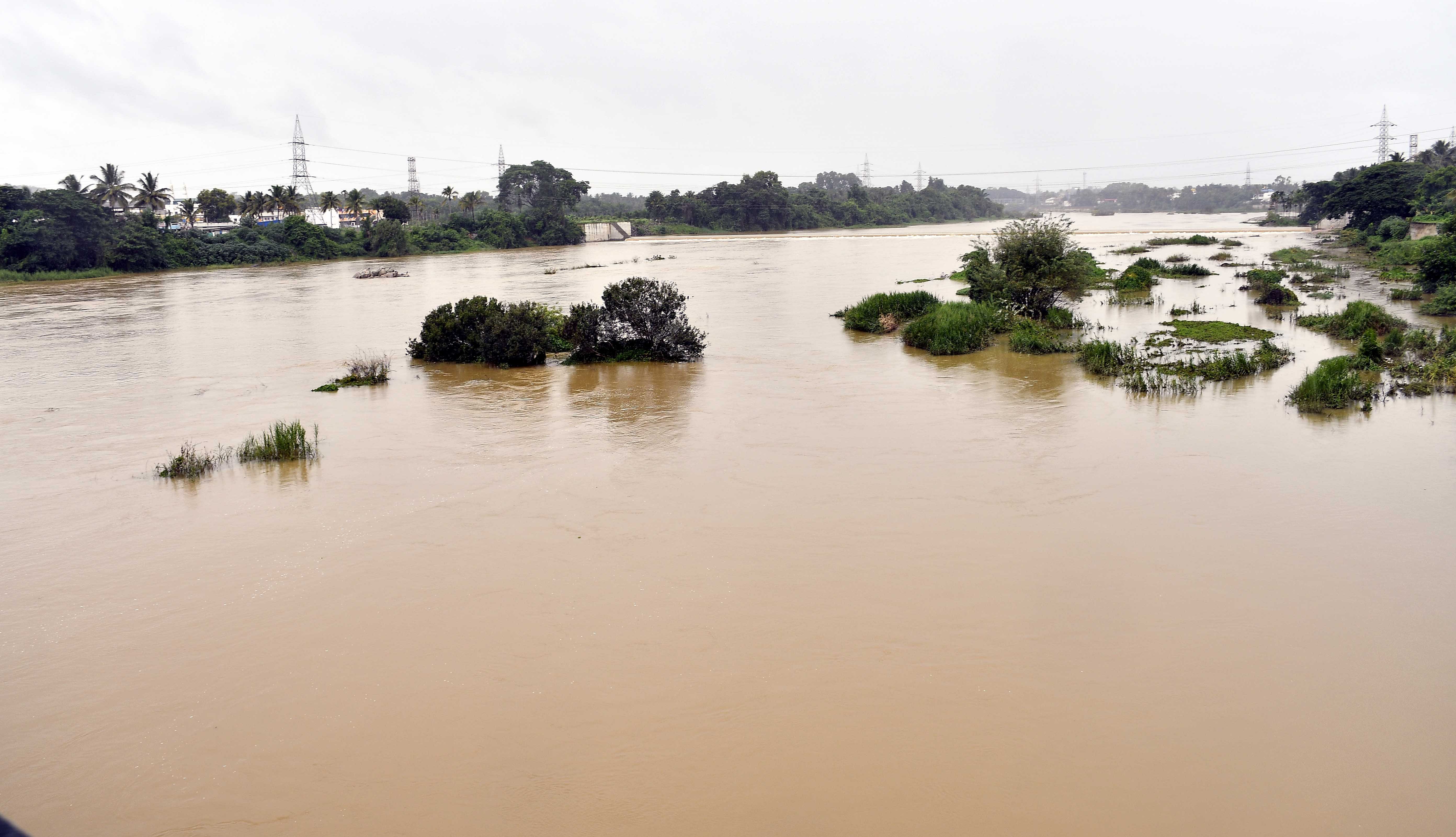 <div class="paragraphs"><p>The water level in Tunga river that meanders through Shivamogga city has increased following heavy rains in Shivamogga and Chikkamagaluru districts. </p></div>