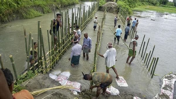 <div class="paragraphs"><p>Villagers repair the embankment breach caused due to floods following rains, in Baksa district of Assam.</p></div>