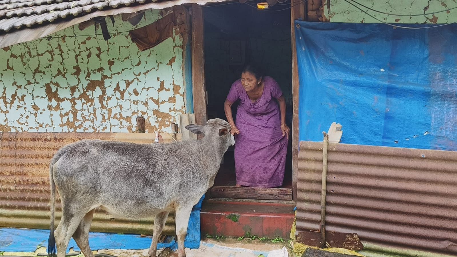 Shyamaladevi,  who is waiting to be relocated, at her house in Kunnihalla.