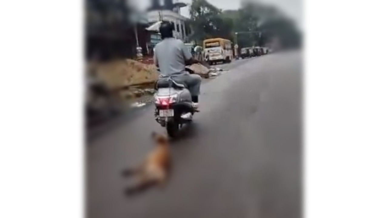 <div class="paragraphs"><p>WARNING: Sensitive content. Screengrab of the video showing a man dragging a motionless dog chained to his two-wheeler.</p></div>