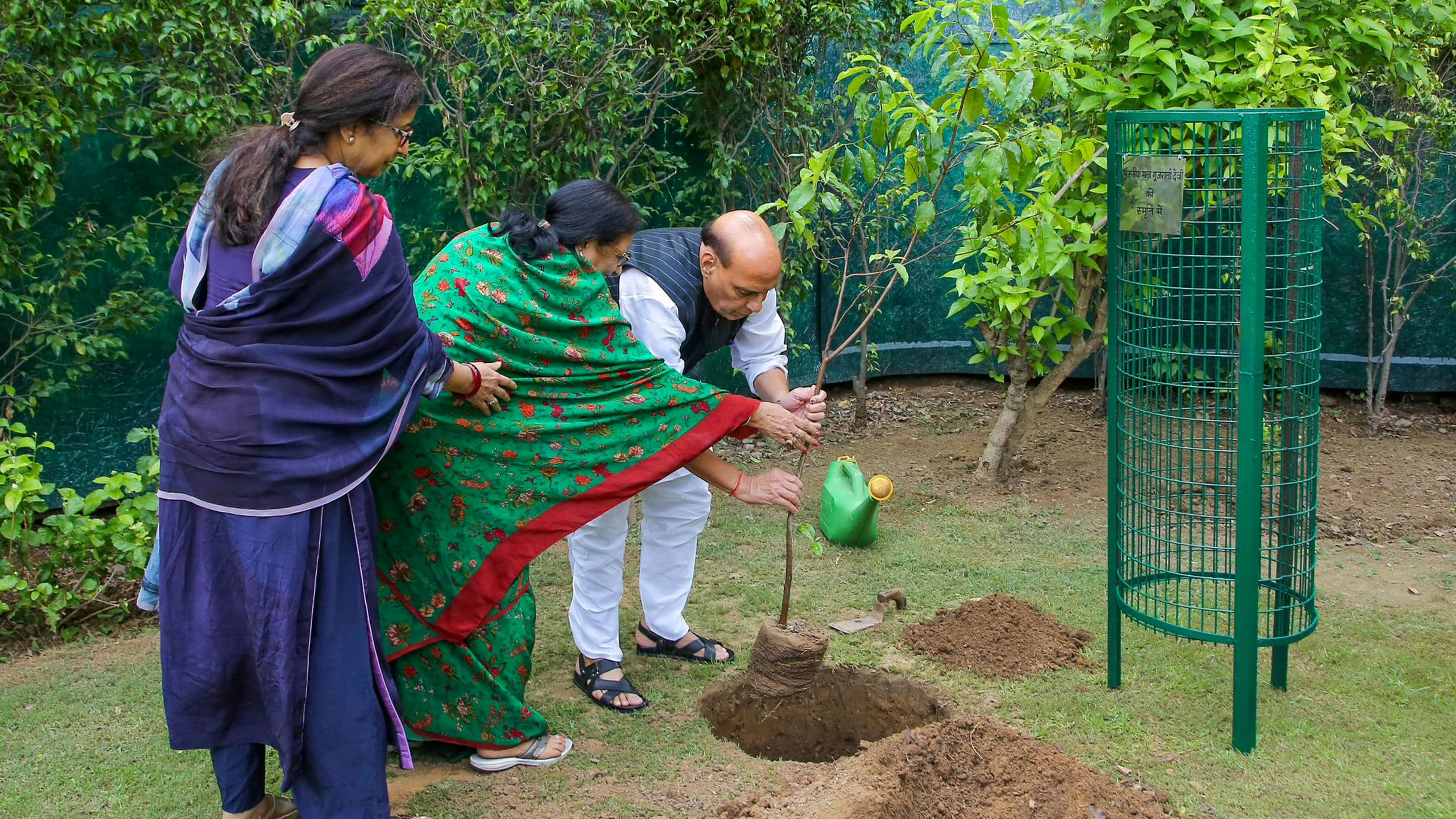 <div class="paragraphs"><p>Defence Minister Rajnath Singh plants a sapling at his residence under the 'Ek Ped Maa Ke Nam' campaign, in New Delhi.</p></div>